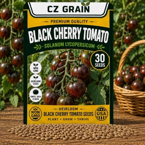 30 Black Cherry Tomato Seeds | Sweet Cherry Tomatoes by CZGrain