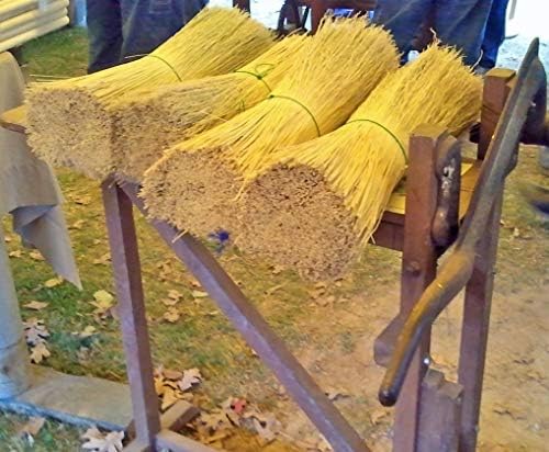 Broom Corn for Crafting and Broom Making 5 Pound Bundle 20" Length - Image 3