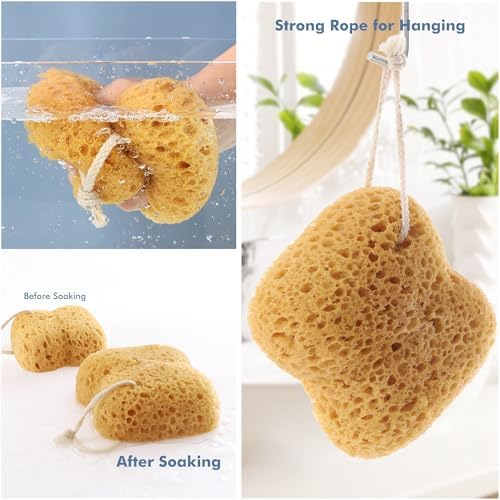 Shower Sponge 2-Pack – Exfoliating Body Scrubber - Image 4