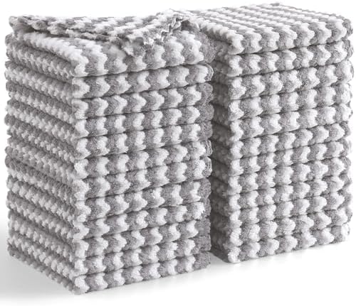 Homaxy 24 Pack Coral Velvet Dish Cloths, 10 x 10 inches by Homaxy
