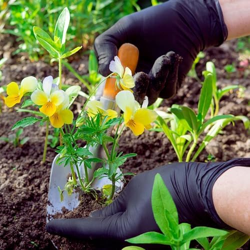 FifthPulse Biodegradable Gloves - Image 7