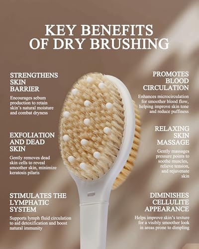 Shower Brush for Massage Dry Brushing: Back Scrubber for Shower - Image 2