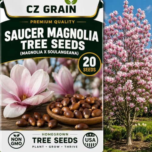 CZ Grain Seeds for Planting, 20 Saucer Magnolia by CZGrain
