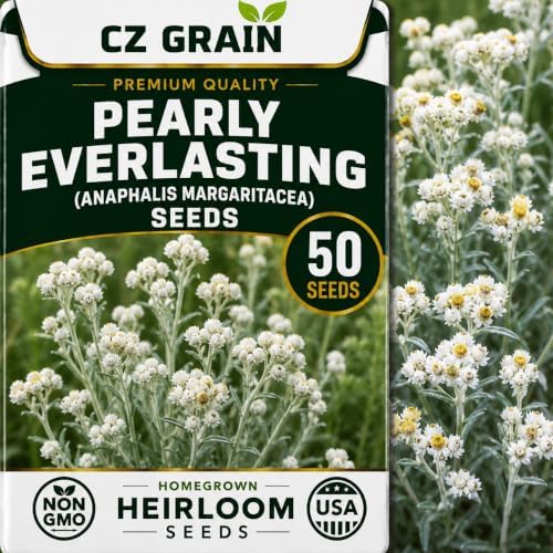 CZ Grain Seeds for Planting, 50 Pearly Everlasting by CZGrain