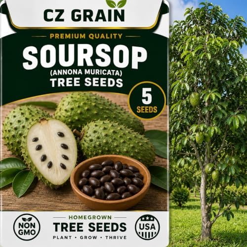 5 Soursop Seeds | Annona Muricata Tropical Fruit Tree Seeds by CZGrain