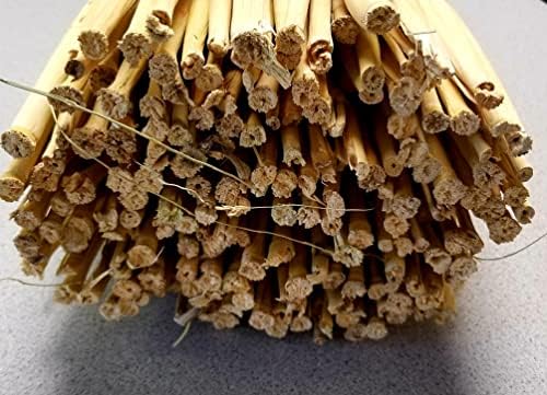Craft Broom Corn with Stalks 2 Pound Bundle 24-36" Length - Image 3