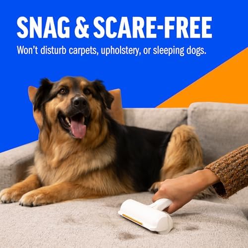 ChomChom Roller & Rake – Reusable Pet Hair Removal Roller - Image 4