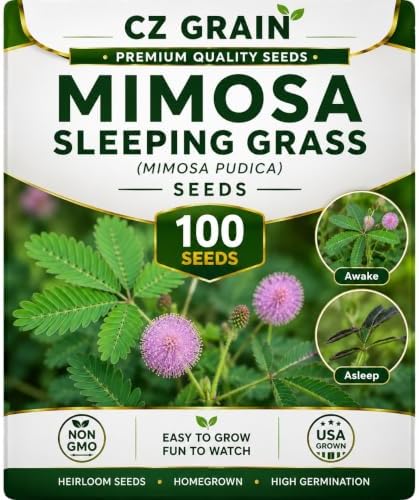 CZ Grain Seeds for Planting, 100 Mimosa Sleeping Grass by CZGrain