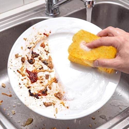 Norpro 1094 Natural Pop-Up Cleaning Sponges, Compostable, Dishwasher Safe - Image 6
