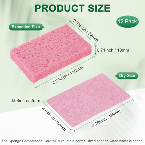 M METERXITY 12-Pack Kitchen Sponges, Condense Eco Cellulose Non-Scratch Scrub - Image 3