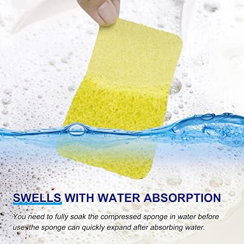 CELOX 12 Pack Cellulose Compressed Sponges, Natural Wood Pulp Thicker - Image 3