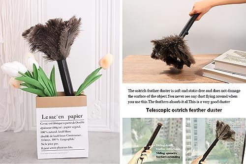 Retractable Ostrich Feather Duster - Image 6
