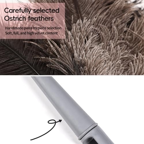 Feather Duster-Genuine Ostrich Feathers, Anti-Static, Reusable Eco-Friendly - Image 4