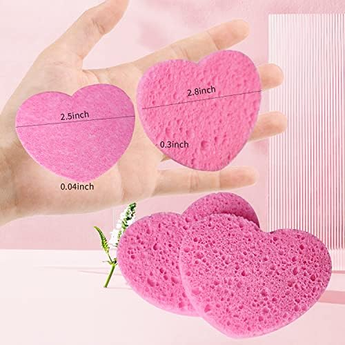 50-Count Compressed Facial Sponges - Image 3