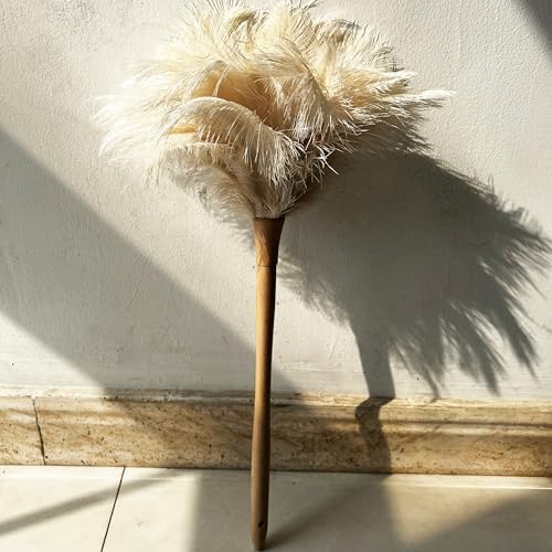 19.7 Inch Ostrich Feather Duster – Soft Dusting Brush - Image 4