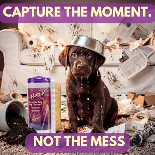 Capture Carpet & Rug Dry Cleaner w/Brush - Image 2