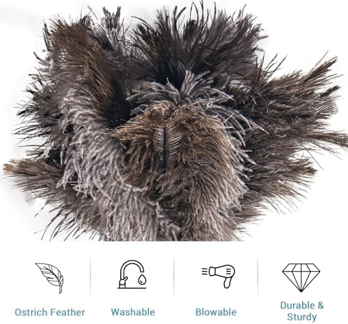 Feather Duster Extendable 22–47 Inch, Natural Ostrich Feather Duster - Image 5