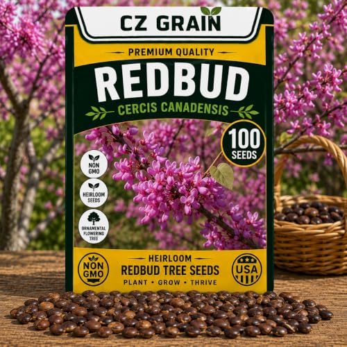100 Redbud Tree Seeds | Flowering Tree Seeds by CZGrain