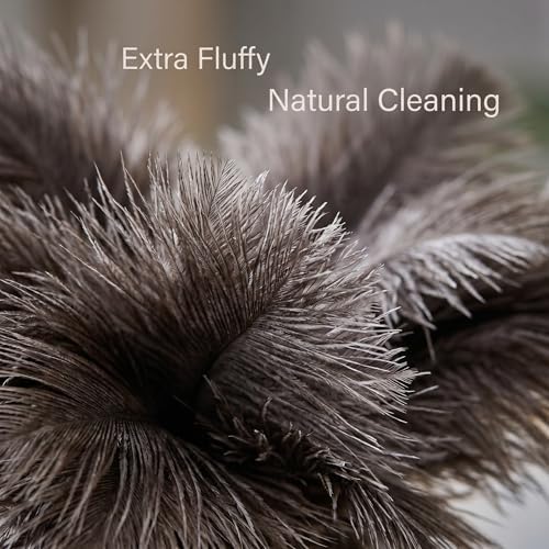 2 Pcs Retractable Ostrich Feather Dusters, Washable Handheld Tools - Image 5