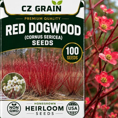 CZ Grain Seeds for Planting, 100 Red Dogwood by CZGrain