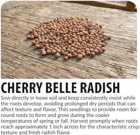 100 Cherry Belle Radish Seeds | Fast Growing Vegetable Seeds - Image 6