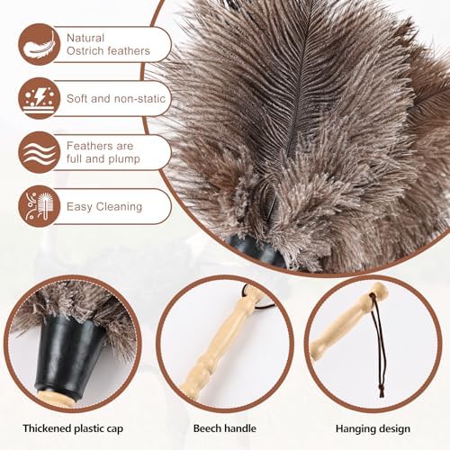 Ostrich Feather Duster 14" Natural Handheld Reusable Feathers Dusters - Image 3