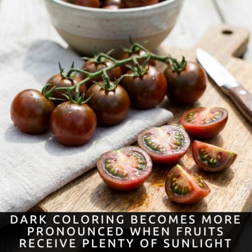 30 Black Cherry Tomato Seeds | Sweet Cherry Tomatoes - Image 6