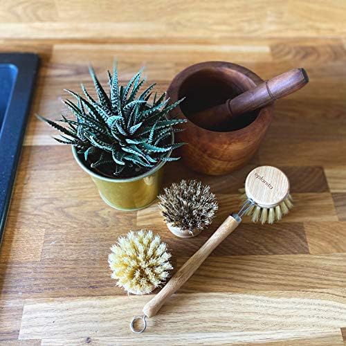 eplanita Natural Dish Brush, 3 Replacement Heads, Kitchen Eco Bamboo Scrubber - Image 3