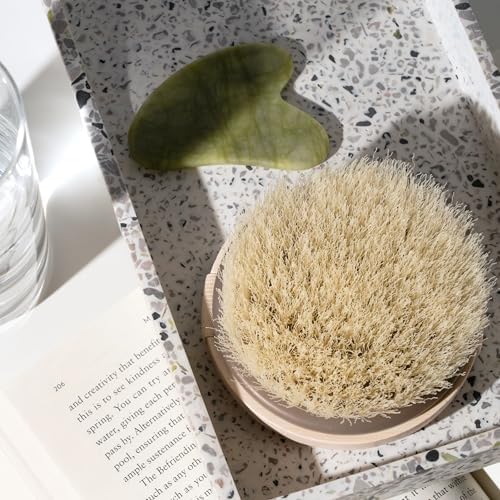 EcoTools Dry Body Brush for Dry Brushing, Smooth Skin - Image 5
