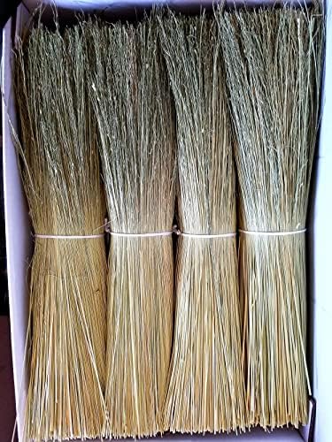 Broom Corn for Crafting and Broom Making 10 Pound Bundle 20" Length by ParkerHomestead