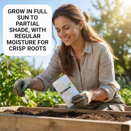 100 Cherry Belle Radish Seeds | Fast Growing Vegetable Seeds - Image 4