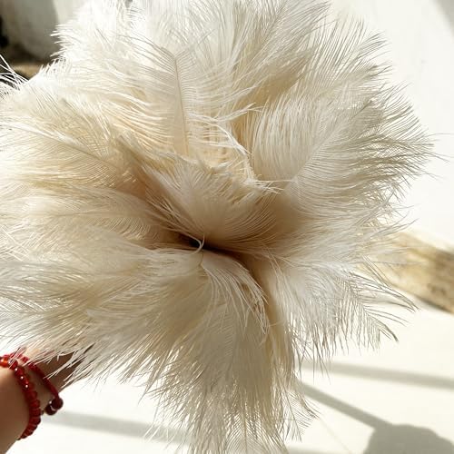 19.7 Inch Ostrich Feather Duster – Soft Dusting Brush - Image 6