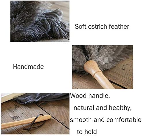 DDZMZ Ostrich Feather Duster for Cleaning - Image 3