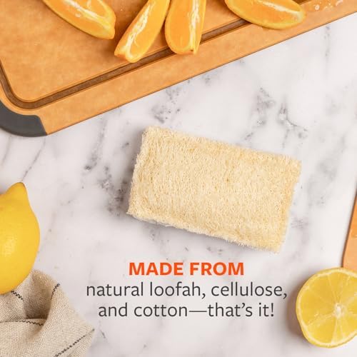 Full Circle 100% Plant-Based Loofah Sponges, Natural Sponge - Image 4