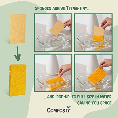Pop-Up Compostable Sponges 12-Pack – Eco-Friendly Biodegradable Cellulose - Image 2
