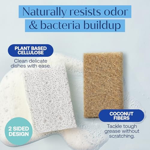 Fab Tab Coconut Cellulose Sponges - Image 3