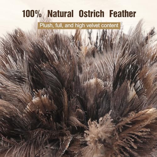 Ostrich Feather Dusters with Wood Handle，Reusable Feather Duster, Ostrich - Image 2