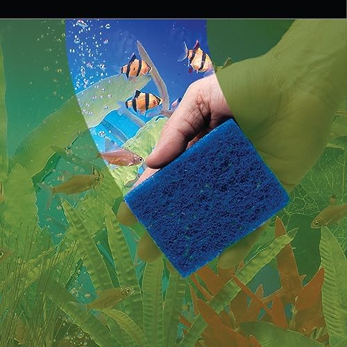 Penn-Plax WZP1 Wizard Grime Scrubber Pad – - Image 3