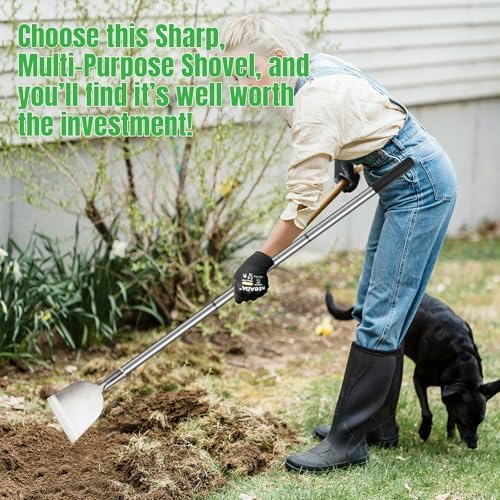 Floor Scraper Long Handle, Paint Wallpaper Garden Snow Ice Shovel - Image 7