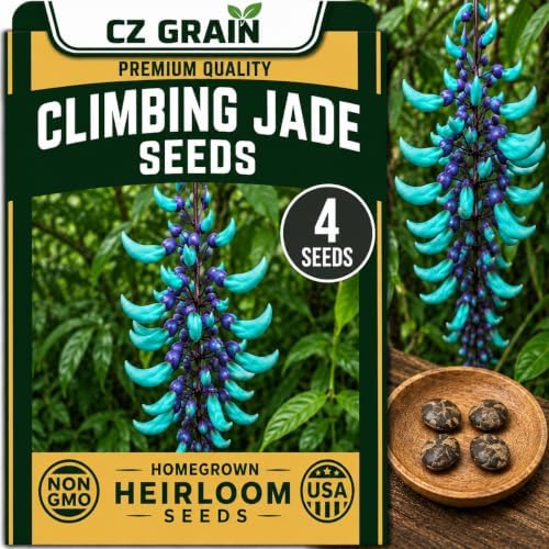 4 Climbing Jade Seeds | Tropical Climbing Vine Seeds by CZGrain