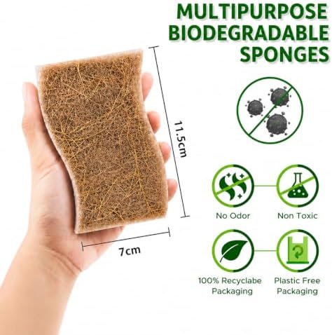 Plant-Based Kitchen Sponge Pack of 12 - Image 3