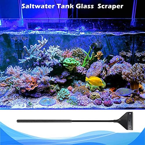 Pronetcus Algae Scraper for Glass Aquariums, Fish Tank Cleaner, Aquarium Algae - Image 3