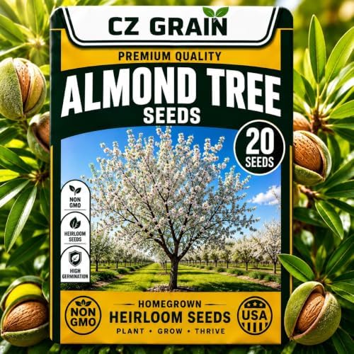 20 Almond Tree Seeds | Prunus Dulcis Edible Nut Tree Seeds by CZGrain