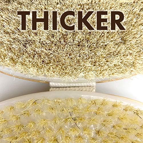 Scala Body Brush Natural Bristle, Dry Brushing Exfoliator - Image 3