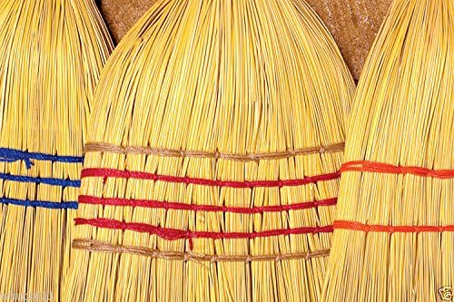 100 Seeds Broom Corn Seeds - Image 3