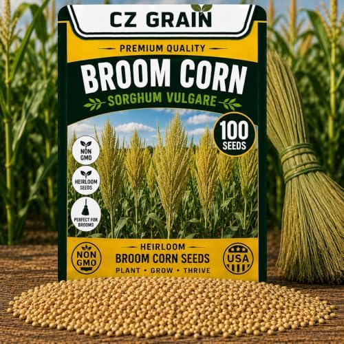 100 Broom Top Corn Seeds | Ornamental Broom Corn Seeds by CZGrain