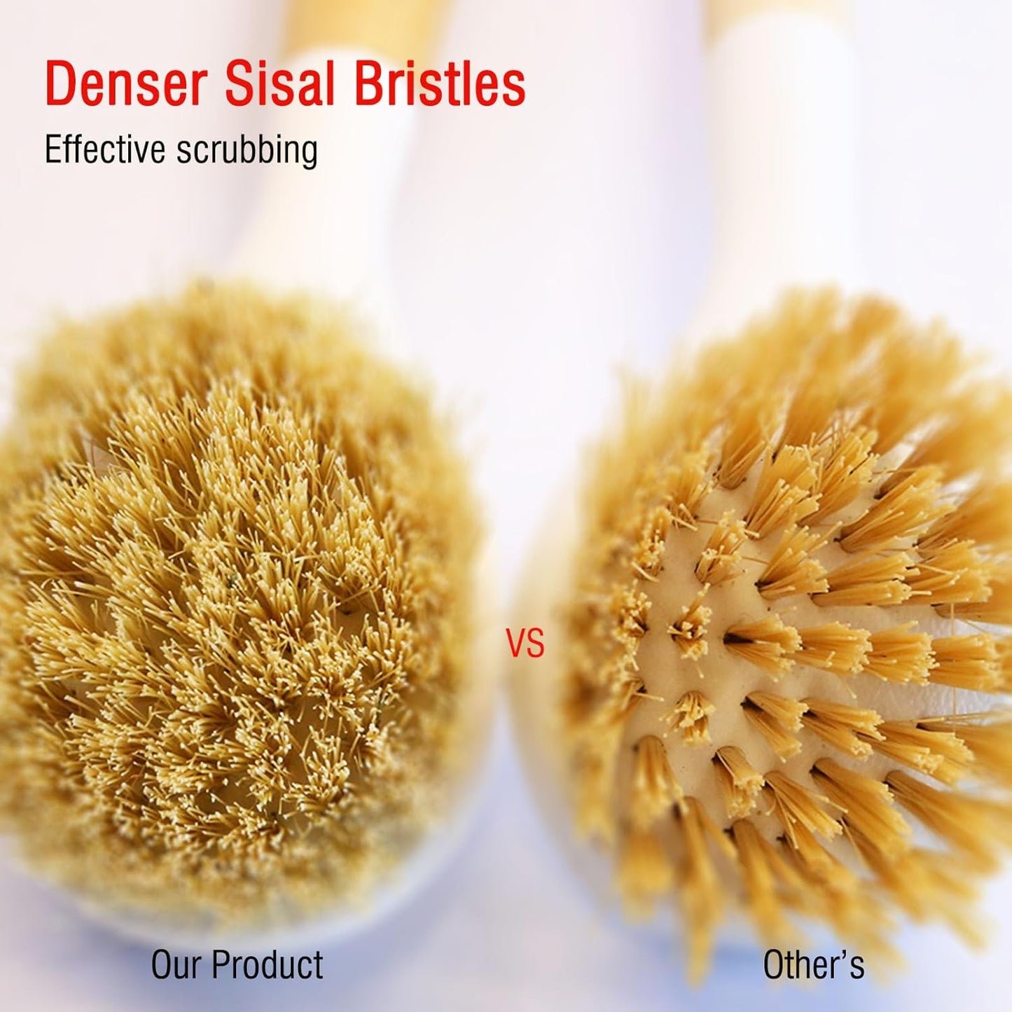 Natural Bristle Dish Brush Set, 1 Wooden Dish Brush and 1 Bamboo Dish Brush with 1 Bamboo Drainer Tray, All Circle Kitchen Scrub Brush for Dishes