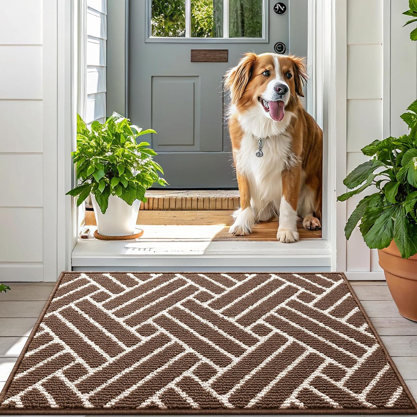 OLANLY Indoor Door Mat, 36x24 Inch, Dirt Resistant and Absorbent, Non-Slip Rubber Backing Floor Mats, Easy Clean Low-Profile Doormat for Entryway, Front Door, and Inside Entrance, Coffee
