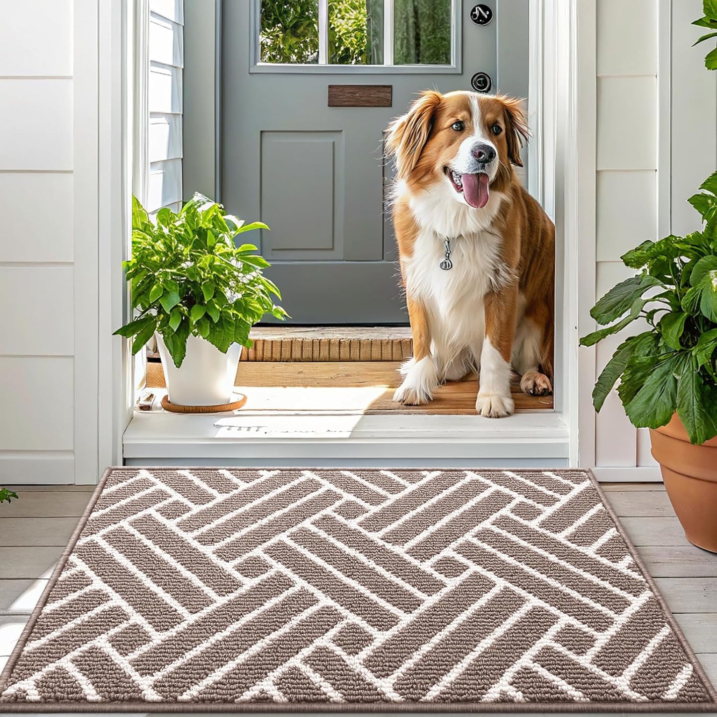 OLANLY Runner Indoor Door Mat, 59x23 Inch, Dirt Resistant and Absorbent, Non-Slip Rubber Backing Floor Mats, Easy Clean Low-Profile Doormat for Entryway, Front Door, and Inside Entrance, Brown